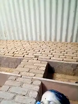 Lucky couple-1 online show from 04-19-26, 08:24