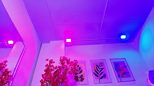 Maddie T18 online show from 02-04-26, 11:42