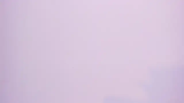 Paris Velvet online show from 05-16-26, 10:30