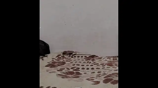 ammsexy1 online show from 03-09-26, 04:33