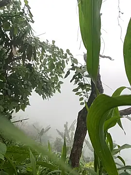 neyney110 online show from 04-24-26, 12:35