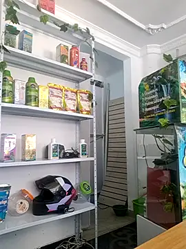 Tatianna Loove  online show from 03-14-26, 02:55