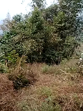 sushi-asa online show from 02-24-26, 01:47