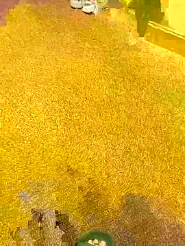 Snapshot of michaarMichaels chatting on 04-05-26, 06:54 michaarMichaels online show from 04-05-26, 06:54