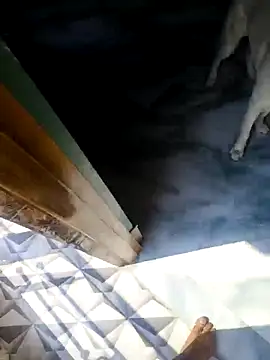 rubitrides11 online show from 02-18-26, 06:09