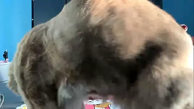 AndreeMerryman online show from 02-05-26, 08:08