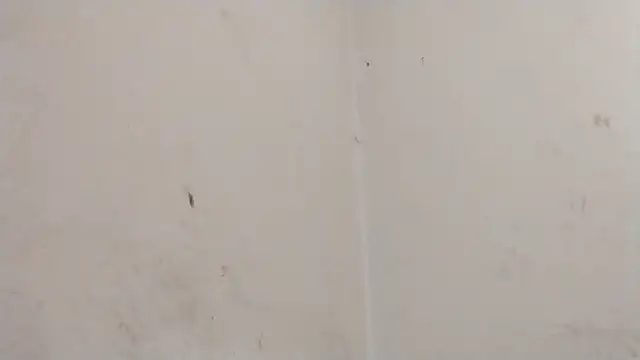 Snapshot of MisterSnowww chatting on 03-06-26, 09:55 MisterSnowww online show from 03-06-26, 09:55