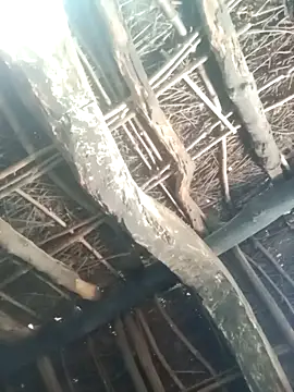 Manu mehta online show from 03-31-26, 04:57