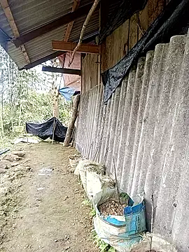 Anna 516 online show from 03-10-26, 05:45