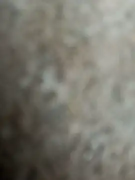 nanibabu7999 online show from 04-24-26, 04:48