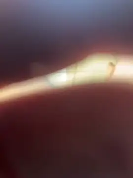 Kylxxx8 online show from 03-29-26, 10:04