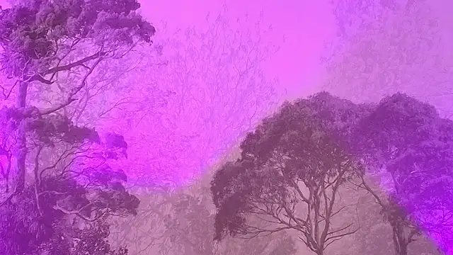 Snapshot of Elizabeth_Ferrer chatting on 03-16-26, 12:09 Elizabeth Ferrer online show from 03-16-26, 12:09