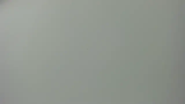 Raven love online show from 04-28-26, 05:18