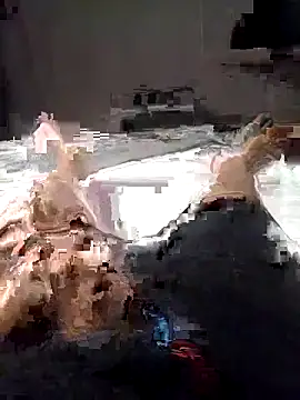 Al-Hari online show from 02-04-26, 04:13