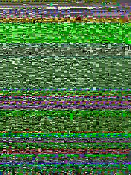 Adriputinha online show from 05-09-26, 12:27
