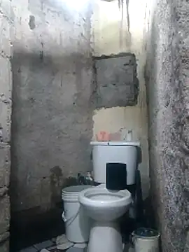 polla large active online show from 04-12-26, 06:35