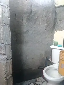 polla large active online show from 04-29-26, 07:09