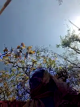 BIG CHAHAT online show from 03-10-26, 05:45