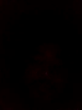 Snapshot of Frederico3302 chatting on 03-02-26, 07:15 Frederico3302 online show from 03-02-26, 07:15