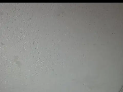 Snapshot of peytonbrunette chatting on 03-23-26, 05:22 peytonbrunette online show from 03-23-26, 05:22