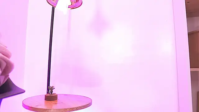 Shopie Colucci online show from 04-13-26, 04:01