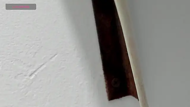 Criistal castro online show from 04-06-26, 11:33