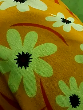 Snapshot of Ranjet01 chatting on 02-13-26, 01:29 Ranjet01 online show from 02-13-26, 01:29