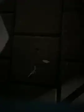 Darkhotcouple online show from 02-14-26, 09:22