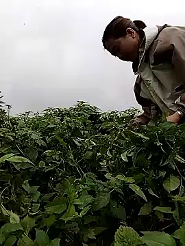 lovely-742 online show from 02-28-26, 01:50