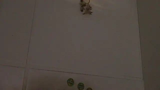 pbilip7787 online show from 02-28-26, 10:00