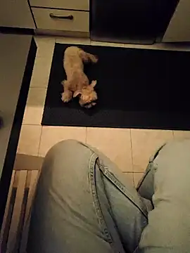 Snapshot of Ginevra01 chatting on 03-09-26, 08:24 Ginevra01 online show from 03-09-26, 08:24