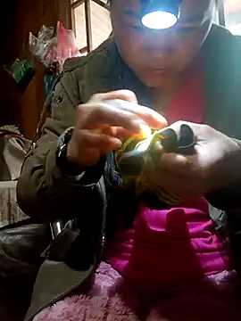 nelina 12345 online show from 03-23-26, 01:31