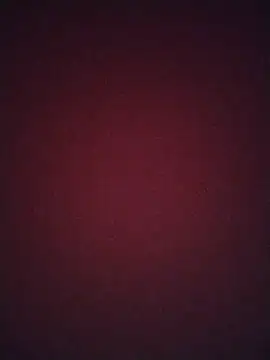 Snapshot of Regina_23 chatting on 02-20-26, 12:07 Regina 23 online show from 02-20-26, 12:07