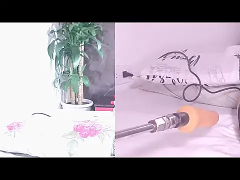 Carol Swet online show from 04-17-26, 11:02