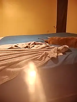 MissBella0969 online show from 04-04-26, 06:00