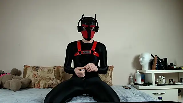 K9 GoodBoy online show from 04-26-26, 09:23