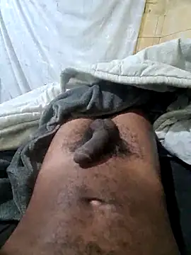 DeclawedPoise online show from 04-04-26, 10:07