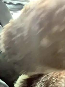 Snapshot of Emily-Fire chatting on 03-05-26, 07:21 Emily-Fire online show from 03-05-26, 07:21