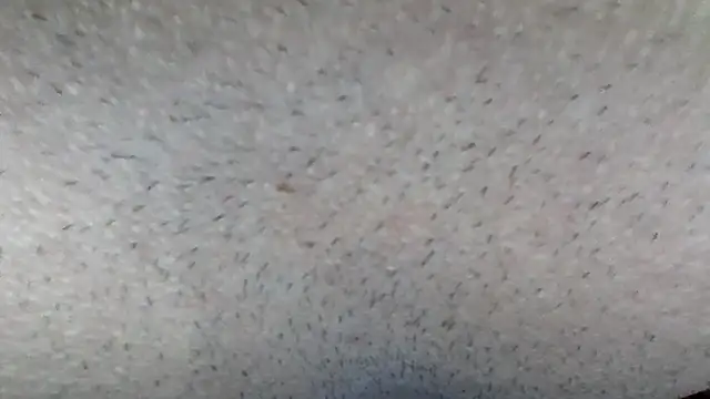 machodotado97 online show from 03-15-26, 05:13