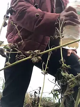 Nth5h online show from 03-11-26, 04:18