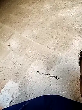 Snapshot of negopreto_ chatting on 02-24-26, 07:34 negopreto online show from 02-24-26, 07:34