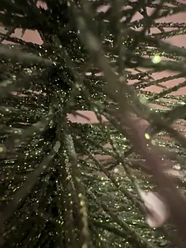 sexysou online show from 04-15-26, 11:50