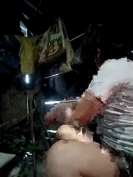 Dear baby  online show from 04-25-26, 10:40