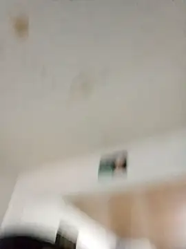 Snapshot of MgSL0 chatting on 03-12-26, 02:45 MgSL0 online show from 03-12-26, 02:45