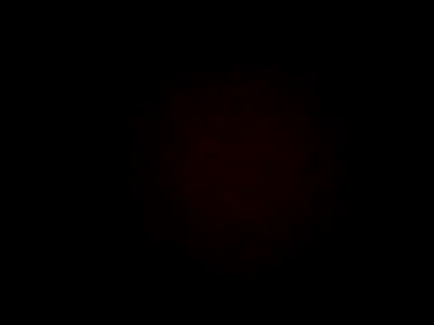 Snapshot of wifedesi7050 chatting on 04-07-26, 04:24 wifedesi7050 online show from 04-07-26, 04:24