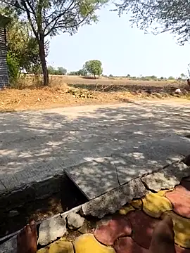 Fantasy King 3939 online show from 03-13-26, 08:43