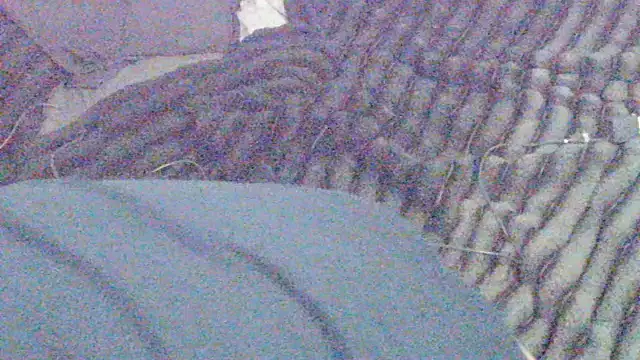 Snapshot of elong007 chatting on 04-01-26, 03:53 elong007 online show from 04-01-26, 03:53
