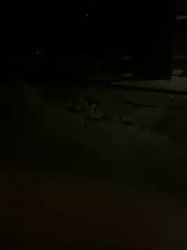 Snapshot of princessandthefootjob chatting on 03-31-26, 04:35 princessandthefootjob online show from 03-31-26, 04:35