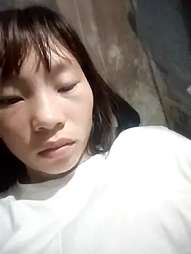 pic8800 online show from 04-29-26, 05:30