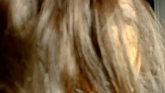 Snapshot of ambriosialove chatting on 03-03-26, 11:27 ambriosialove online show from 03-03-26, 11:27